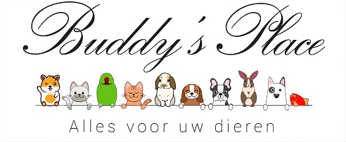 Buddy's place 